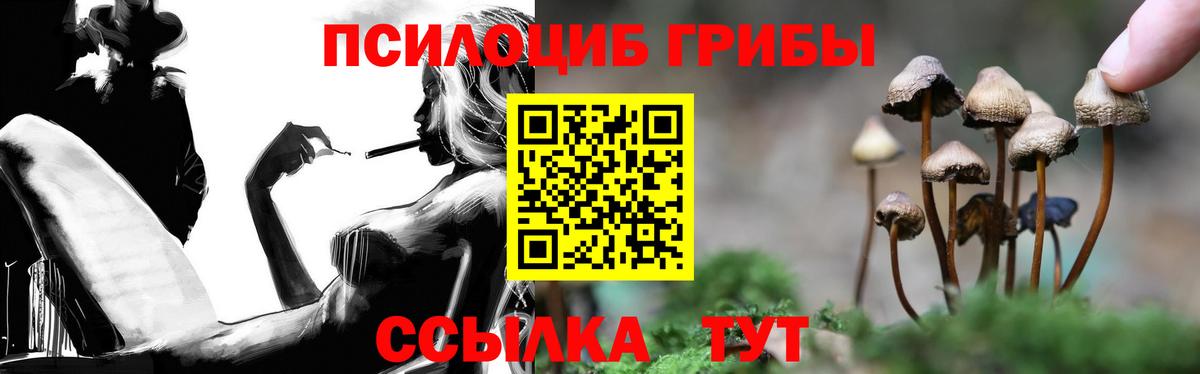 Коряжма  Галлюциногенные грибы Cubensis  Вход с VPN 