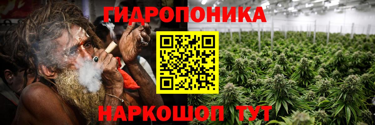 NBOMe Коряжма